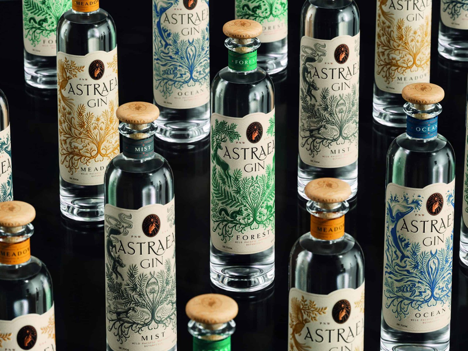 A collection of tequila bottles gathered from various locations.