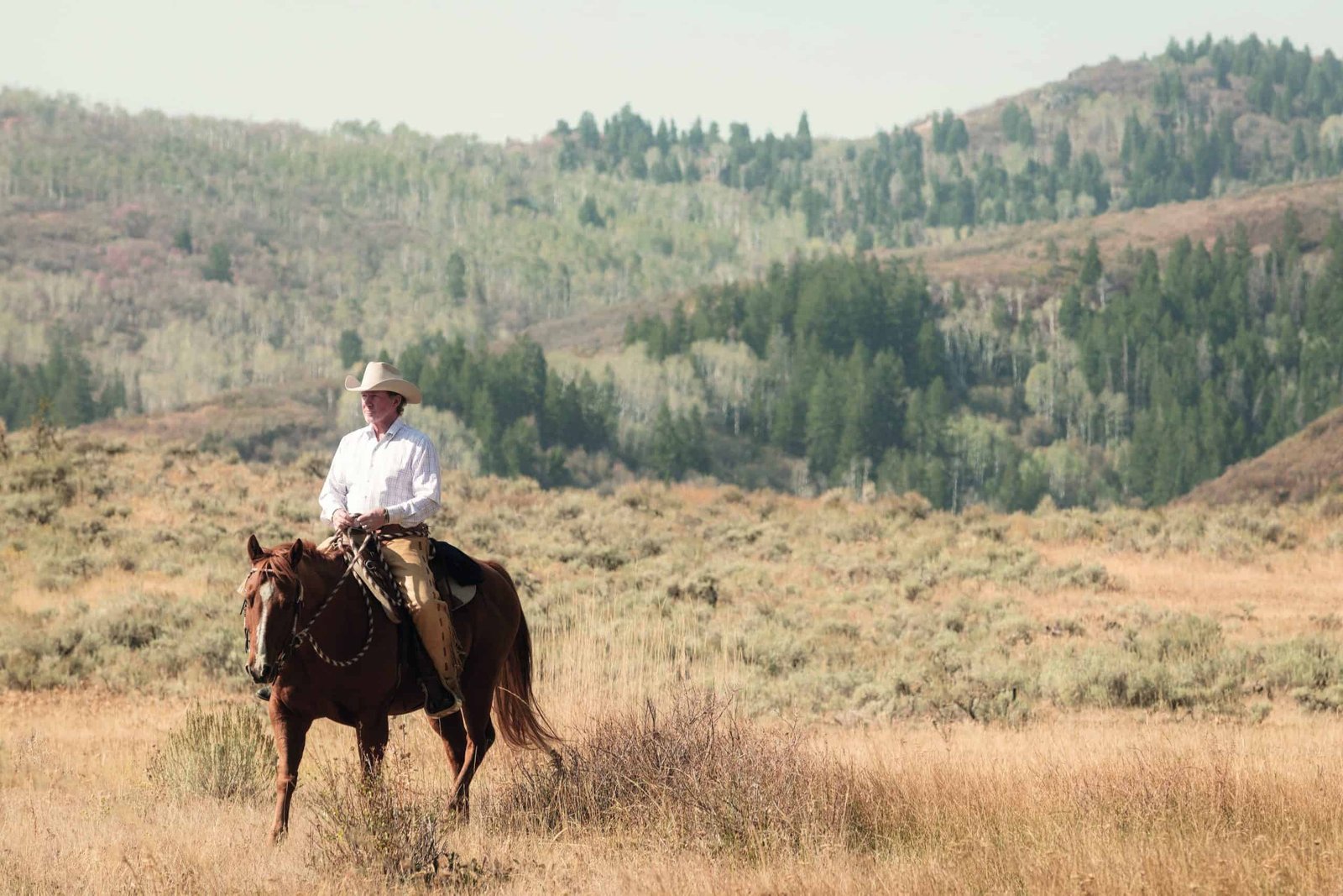A man in a cowboy hat riding a horse outdoors in a field.