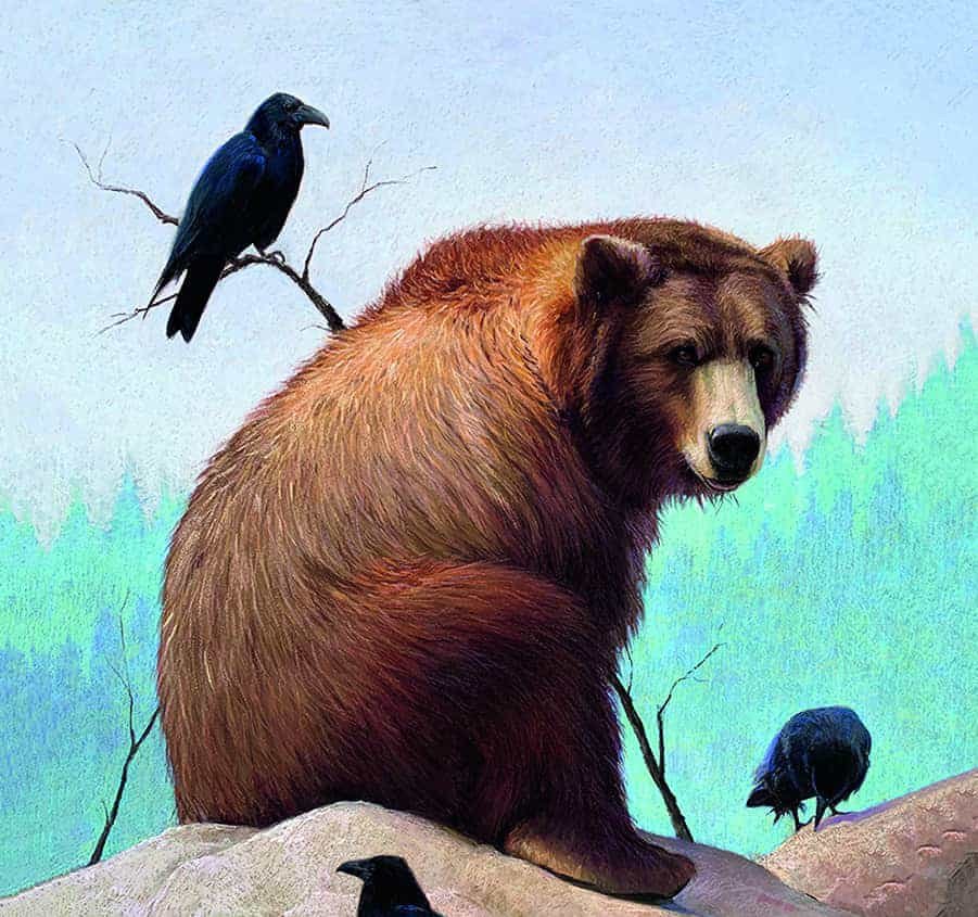 A wild brown bear sitting on a rock.