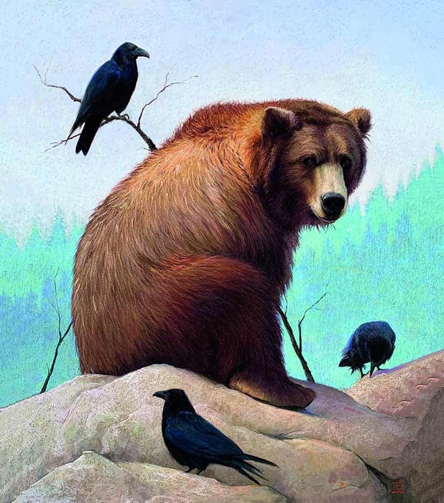 A wild brown bear resting on a rock.