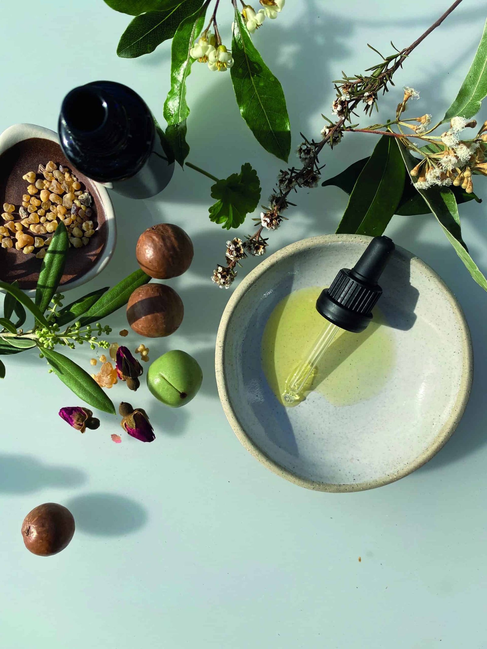 A bowl of powered flowers and plants on a table.