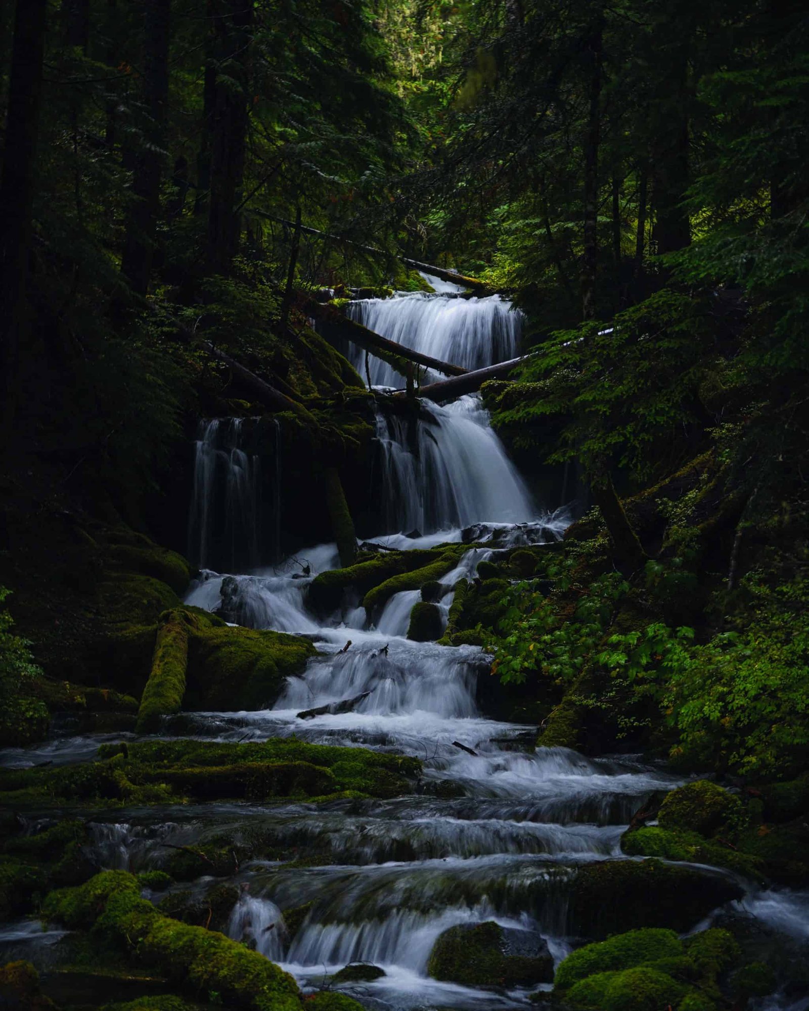 A serene waterfall nestled in the lush greenery of a tranquil forest.