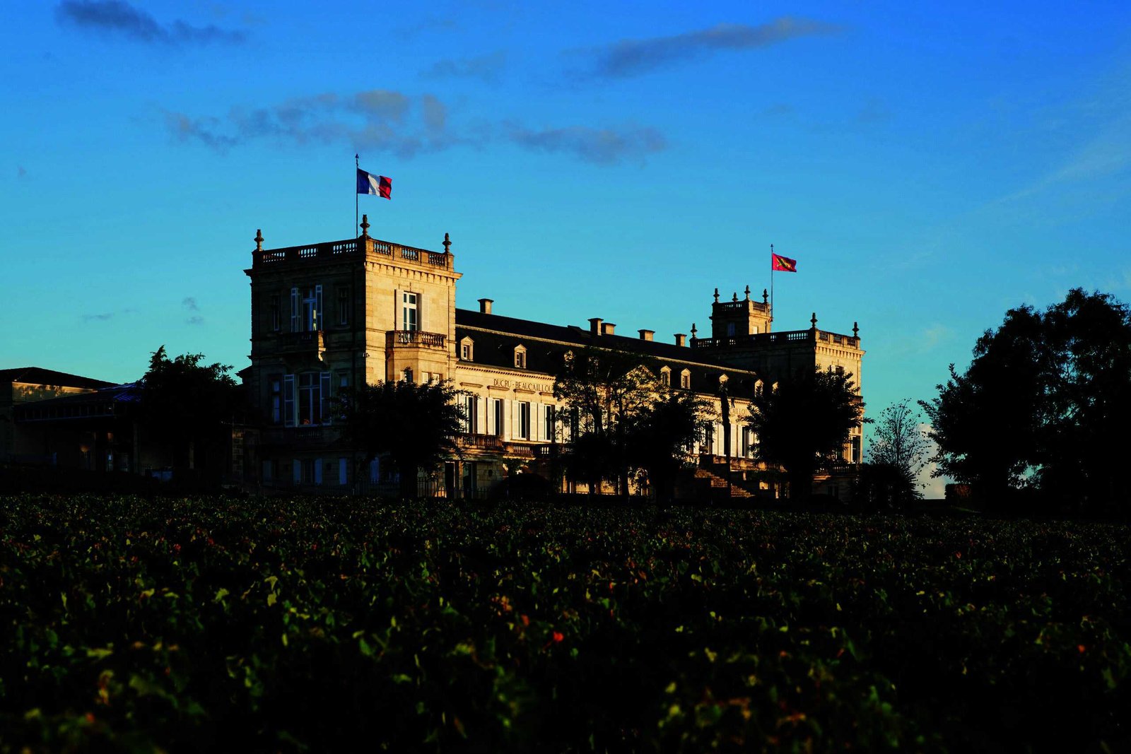 A majestic building nestled amidst an expansive vineyard in the heart of Médoc.