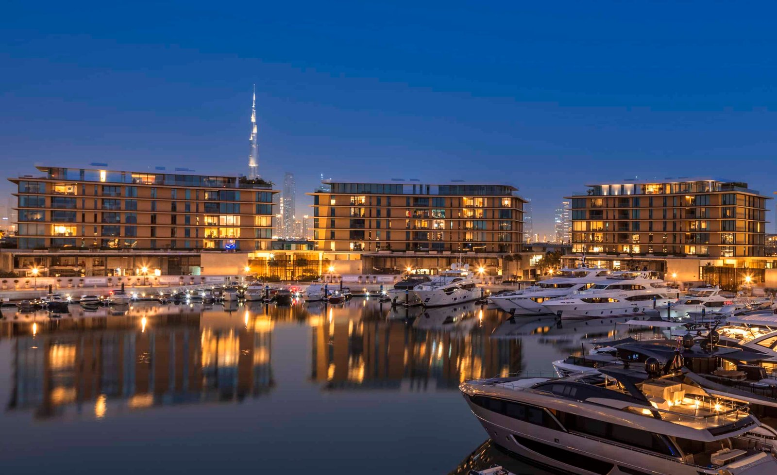 Lavish boats docked in a marina at dusk.